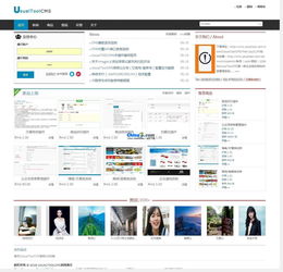 usualtoolcmsv8.0 release的界面預(yù)覽