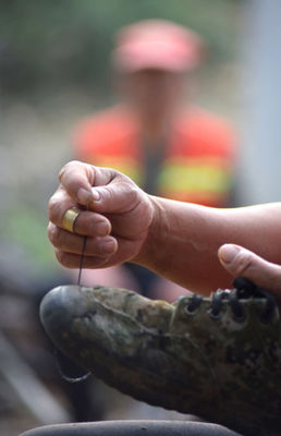 "齊"心"魯"力|深山護林夫妻的綠色堅守