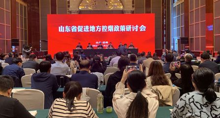 山東省促進(jìn)地方控?zé)熣哐杏憰诘轮菖e行