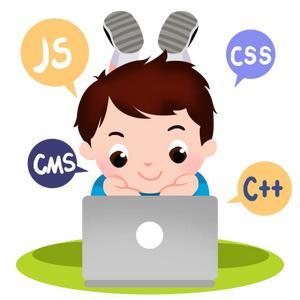 羅薩姆編程淄博旗艦學校齊老師