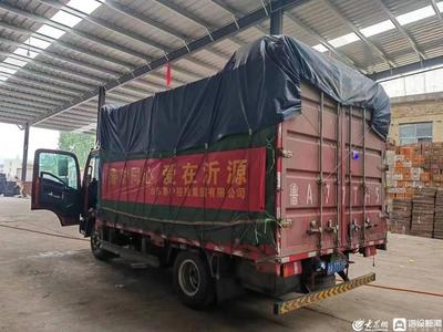 魯滬齊心抗疫 13000斤沂源紅蘋果馳援上海