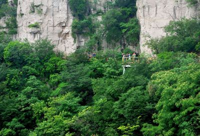 云頂花海的“齊山綻放” | 16市地黨報齊聚淄博齊山風景區采風掠影