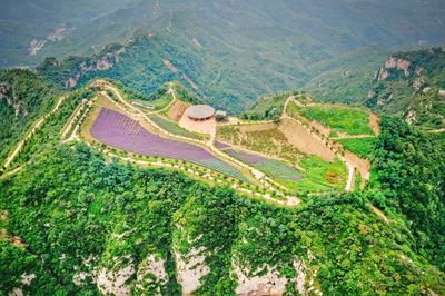云頂花海的“齊山綻放” | 16市地黨報齊聚淄博齊山風景區采風掠影