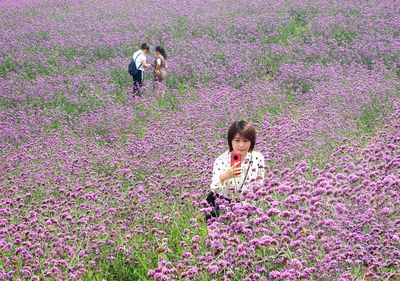 云頂花海的『齊山綻放』——16市地黨報齊聚淄博齊山風景區(qū)采風掠影